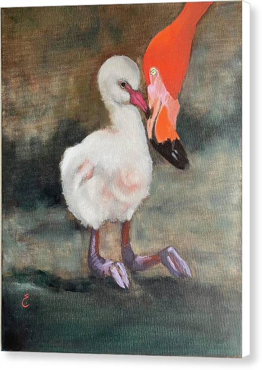 Mother Flamingo - Canvas Print