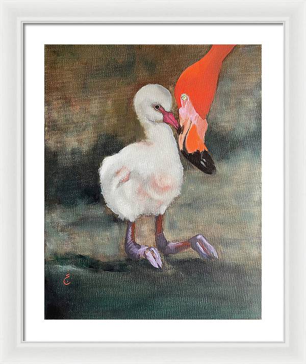Mother Flamingo - Framed Print
