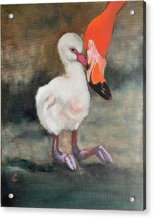 Mother Flamingo - Acrylic Print