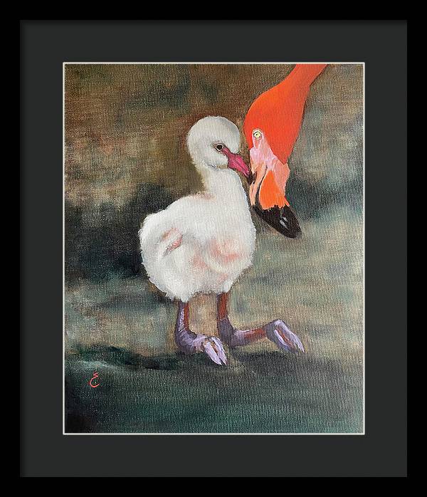 Mother Flamingo - Framed Print
