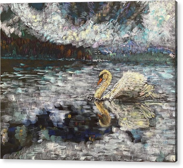 Swan Lake - Acrylic Print